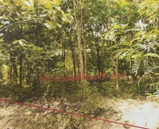 รูปทรัพย์ 2