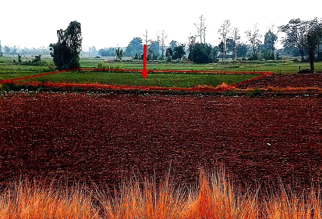 ขายทอดตลาด ที่ดินว่างเปล่า ต.ในเมือง อ.สวรรคโลก จ.สุโขทัย