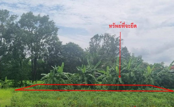 ขายทอดตลาด ที่ดินว่างเปล่า จ.อุดรธานี