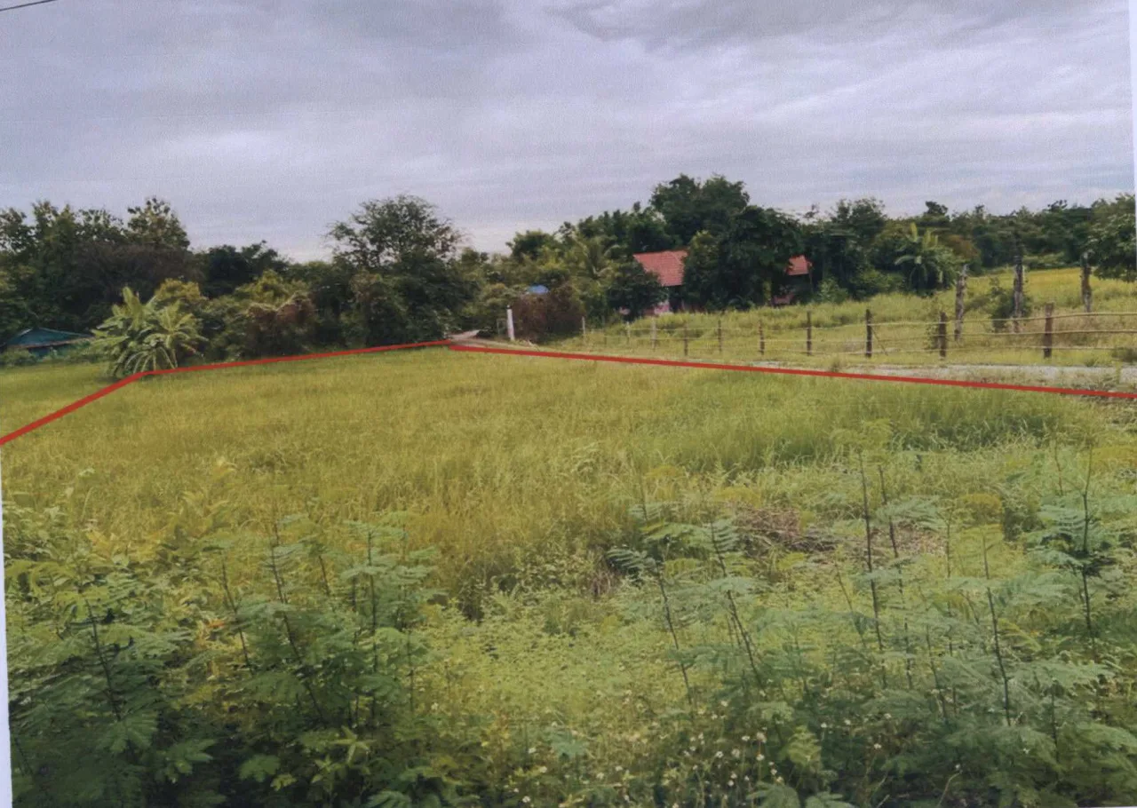 ขายทอดตลาด ที่ดินว่างเปล่า ต.ทุ่งเสลี่ยม อ.ทุ่งเสลี่ยม จ.สุโขทัย