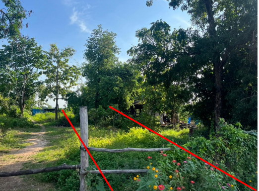 ขายทอดตลาด ที่ดินว่างเปล่า ต.บ้านแก่ง อ.ศรีสัชนาลัย จ.สุโขทัย