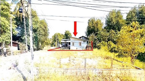 ขายทอดตลาด ที่ดินพร้อมสิ่งปลูกสร้าง ต.ทุ่งเสลี่ยม อ.ทุ่งเสลี่ยม จ.สุโขทัย