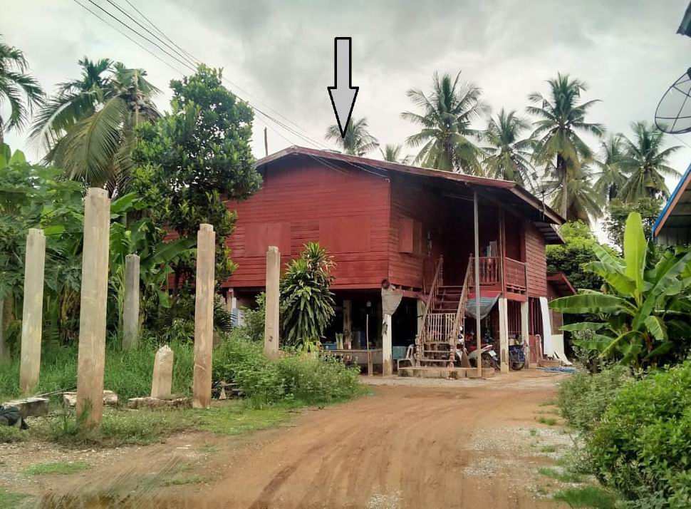 ขายทอดตลาด ที่ดินพร้อมสิ่งปลูกสร้าง ต.ปากน้ำ อ.สวรรคโลก จ.สุโขทัย