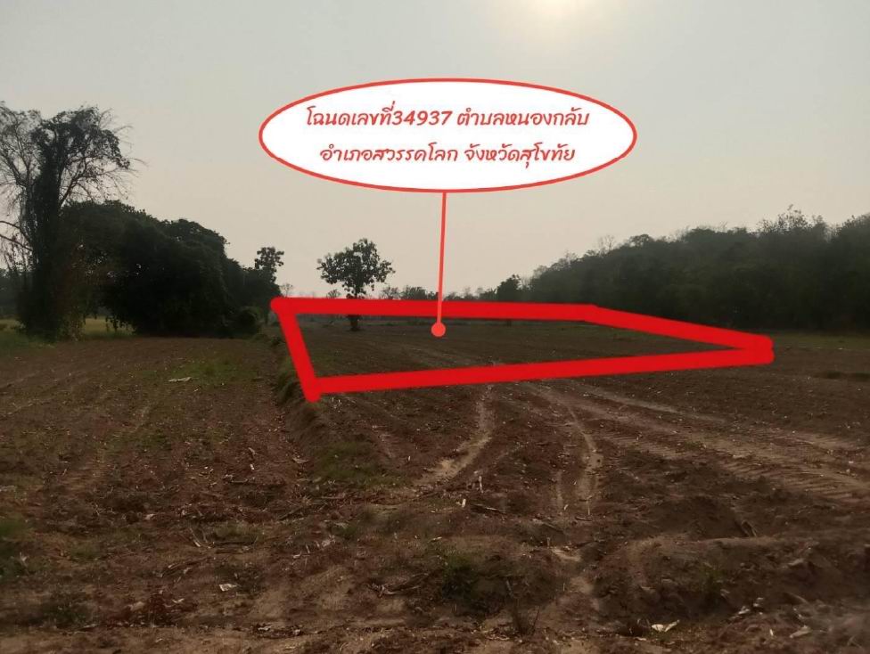 ขายทอดตลาด ที่ดินว่างเปล่า ต.หนองกลับ อ.สวรรคโลก จ.สุโขทัย