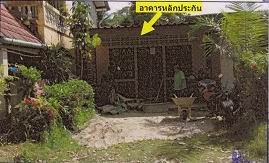 ขายทอดตลาด ที่ดินพร้อมสิ่งปลูกสร้าง ต.สุโสะ อ.ปะเหลียน จ.ตรัง