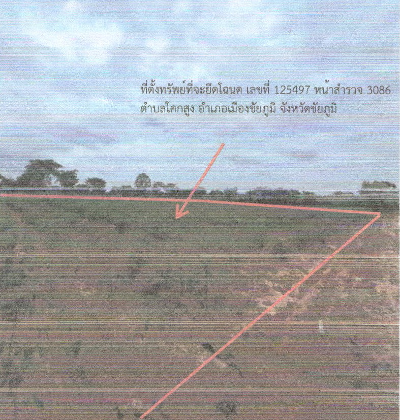 ขายทอดตลาด ที่ดินว่างเปล่า ต.โคกสูง อ.เมืองชัยภูมิ จ.ชัยภูมิ