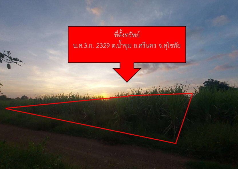 ขายทอดตลาด ที่ดินว่างเปล่า ต.น้ำขุม อ.ศรีนคร จ.สุโขทัย