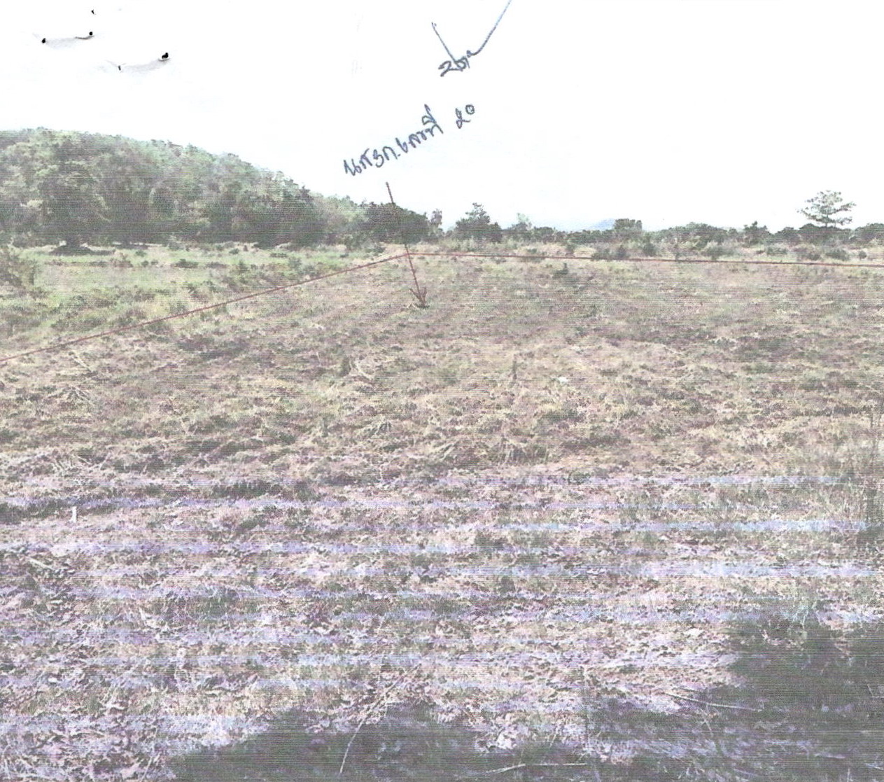 ขายทอดตลาด ที่ดินว่างเปล่า ต.ห้วยแย้ อ.หนองบัวระเหว จ.ชัยภูมิ