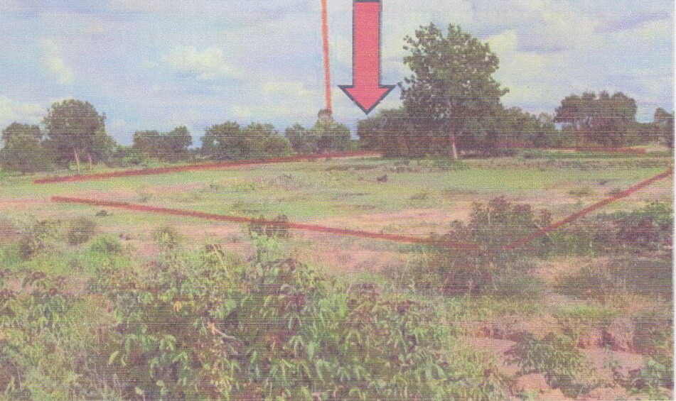 ขายทอดตลาด ที่ดินว่างเปล่า ต.หนองโดน อ.จัตุรัส จ.ชัยภูมิ