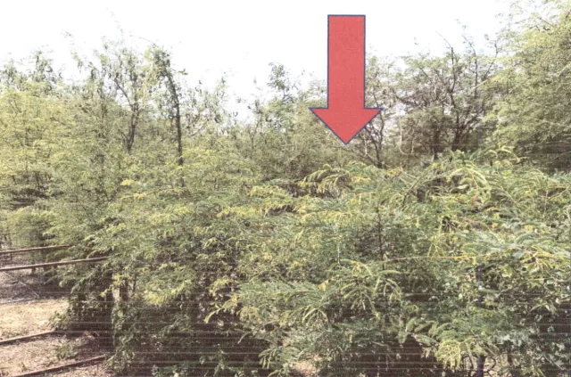 ขายทอดตลาด ที่ดินว่างเปล่า ต.ทุ่งเสลี่ยม อ.ทุ่งเสลี่ยม จ.สุโขทัย