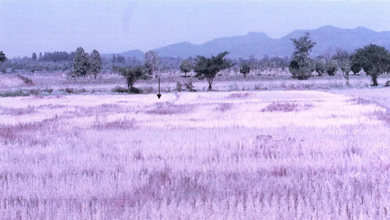 ขายทอดตลาด ที่ดินว่างเปล่า ต.ดอยลาน อ.เมืองเชียงราย จ.เชียงราย