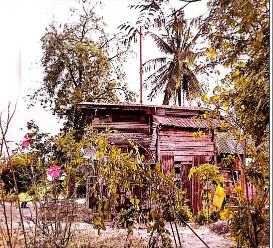 ขายทอดตลาด ที่ดินพร้อมสิ่งปลูกสร้าง ต.ท่าชัย อ.ศรีสัชนาลัย จ.สุโขทัย