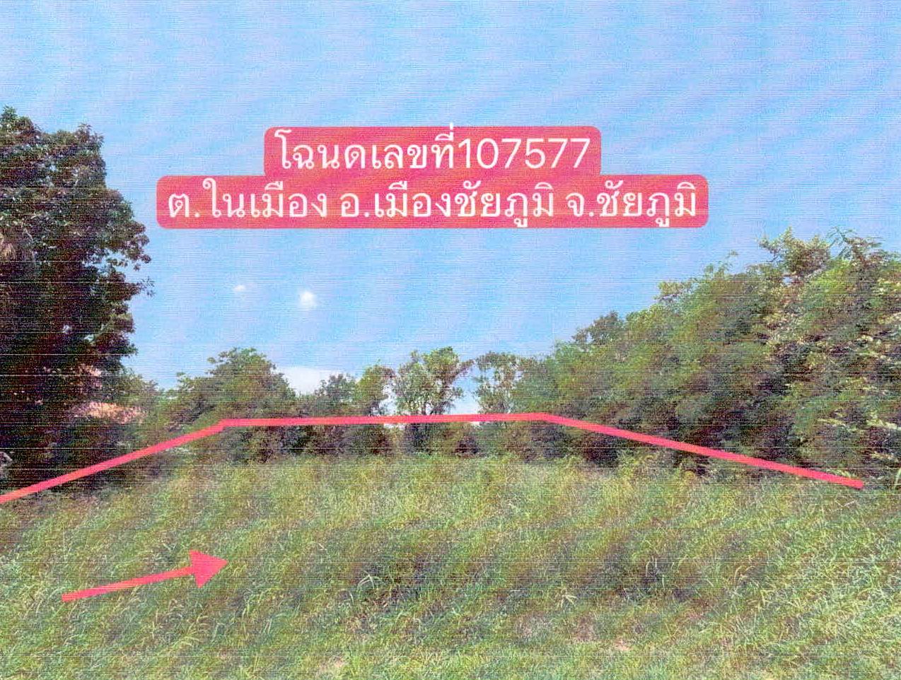 ขายทอดตลาด ที่ดินว่างเปล่า ต.ในเมือง อ.เมืองชัยภูมิ จ.ชัยภูมิ
