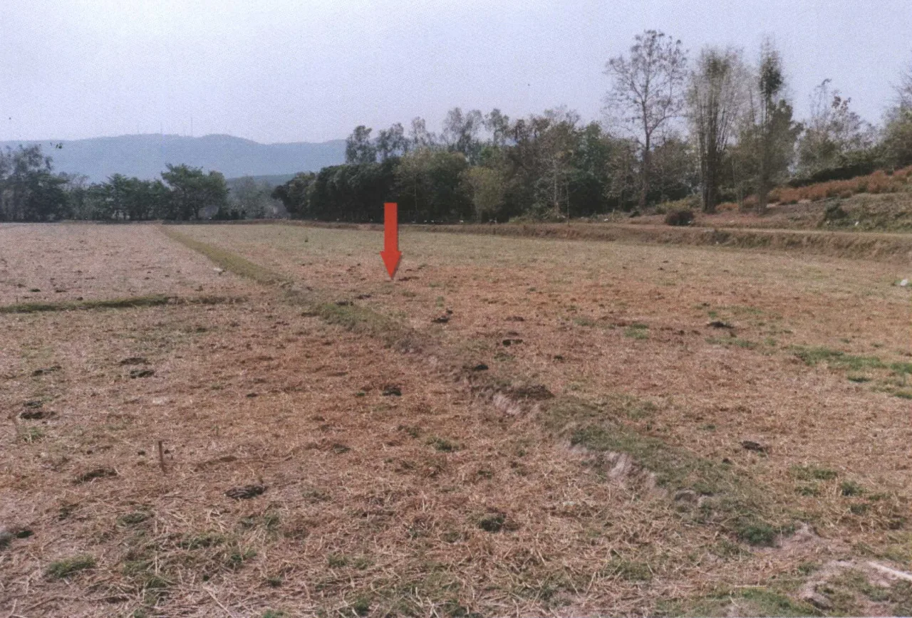 ขายทอดตลาด ที่ดินว่างเปล่า ต.ท่าสาย อ.เมืองเชียงราย จ.เชียงราย