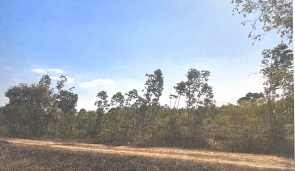 ขายทอดตลาด ที่ดินว่างเปล่า จ.ปราจีนบุรี