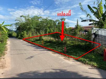 ขายทอดตลาด ที่ดินว่างเปล่า จ.ปราจีนบุรี
