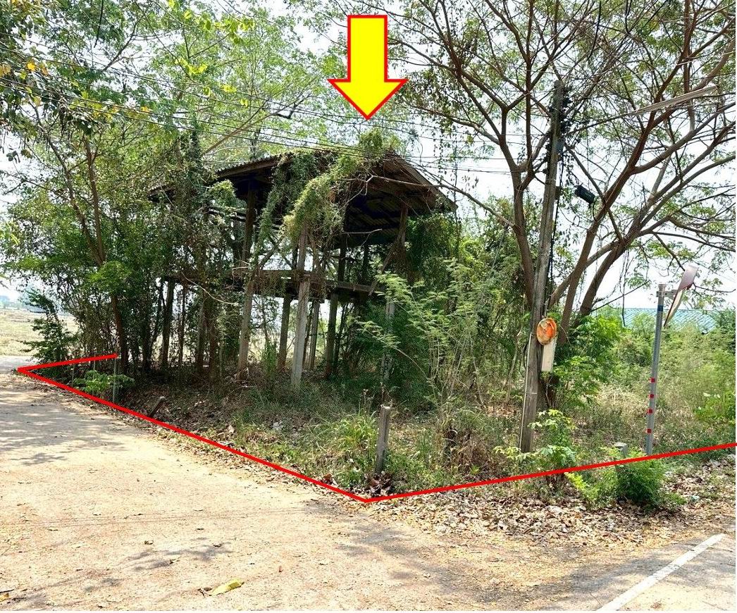 ขายทอดตลาด ที่ดินพร้อมสิ่งปลูกสร้าง ต.หนองกุง อ.น้ำพอง จ.ขอนแก่น
