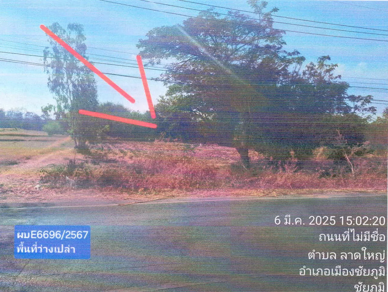 ขายทอดตลาด ที่ดินว่างเปล่า ต.ลาดใหญ่ อ.เมืองชัยภูมิ จ.ชัยภูมิ