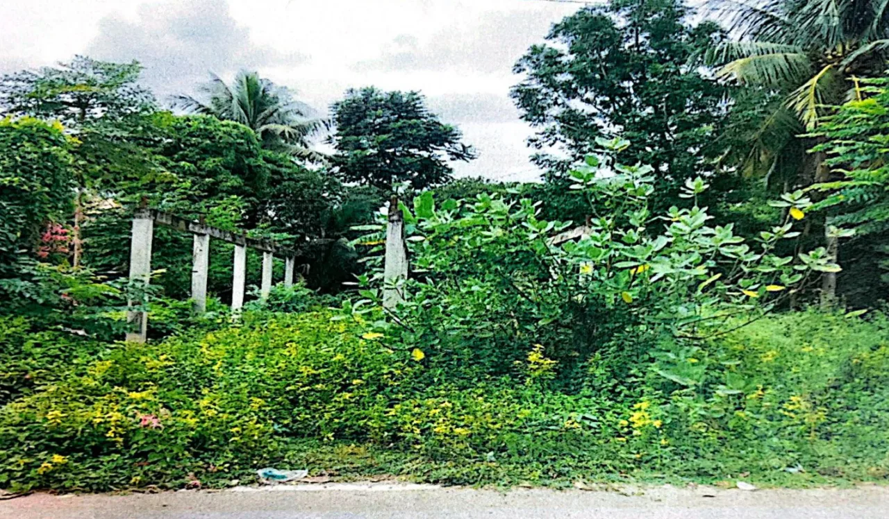 ขายทอดตลาด ที่ดินว่างเปล่า ต.บ้านใหม่ไชยมงคล อ.ทุ่งเสลี่ยม จ.สุโขทัย