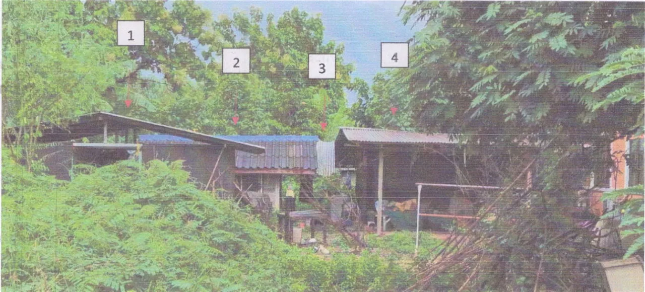 ขายทอดตลาด ที่ดินพร้อมสิ่งปลูกสร้าง ต.บ้านเขว้า อ.บ้านเขว้า จ.ชัยภูมิ