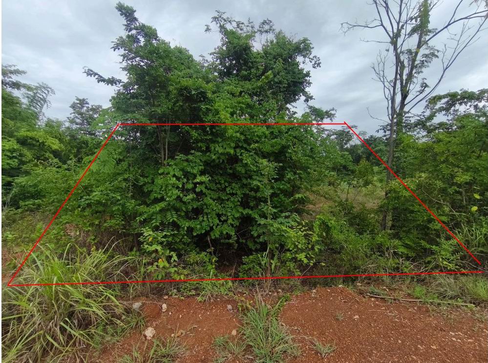 ขายทอดตลาด ที่ดินว่างเปล่า ต.นาฝาย อ.เมืองชัยภูมิ จ.ชัยภูมิ
