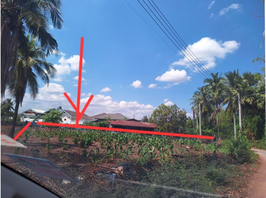 ขายทอดตลาด ที่ดินว่างเปล่า ต.บ้านขาม อ.จัตุรัส จ.ชัยภูมิ