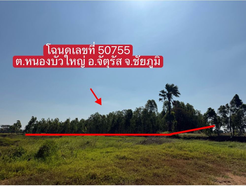 ขายทอดตลาด ที่ดินว่างเปล่า ต.หนองบัวใหญ่ อ.จัตุรัส จ.ชัยภูมิ