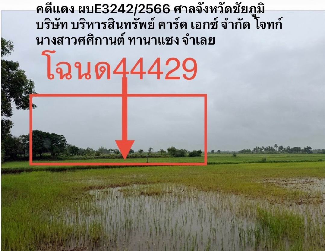 ขายทอดตลาด ที่ดินว่างเปล่า ต.ลุ่มลำชี อ.บ้านเขว้า จ.ชัยภูมิ
