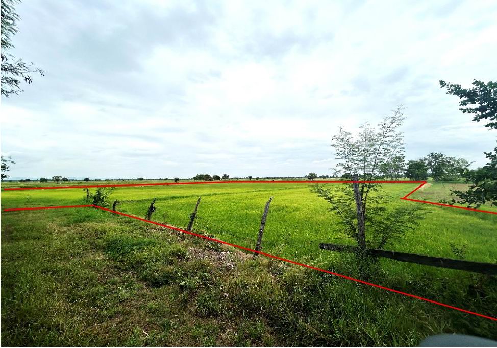 ขายทอดตลาด ที่ดินว่างเปล่า ต.คอนสวรรค์ อ.คอนสวรรค์ จ.ชัยภูมิ