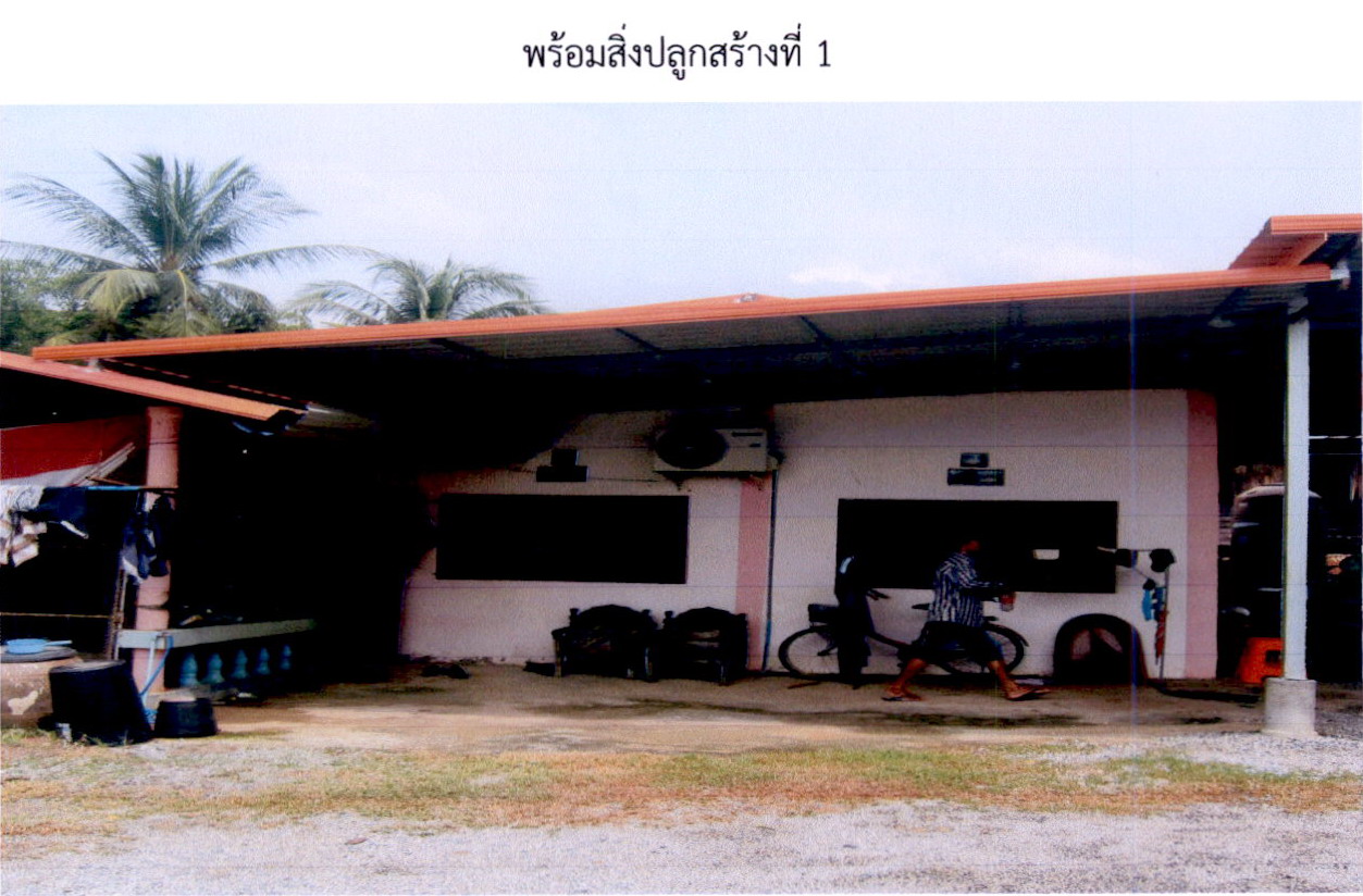 ขายทอดตลาด ที่ดินพร้อมสิ่งปลูกสร้าง ต.สารจิตร อ.ศรีสัชนาลัย จ.สุโขทัย