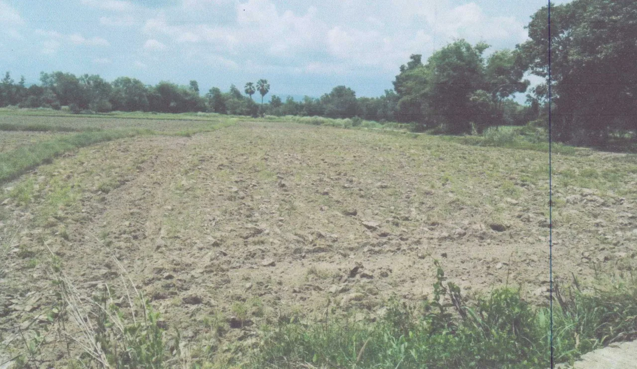 ขายทอดตลาด ที่ดินว่างเปล่า จ.ปราจีนบุรี
