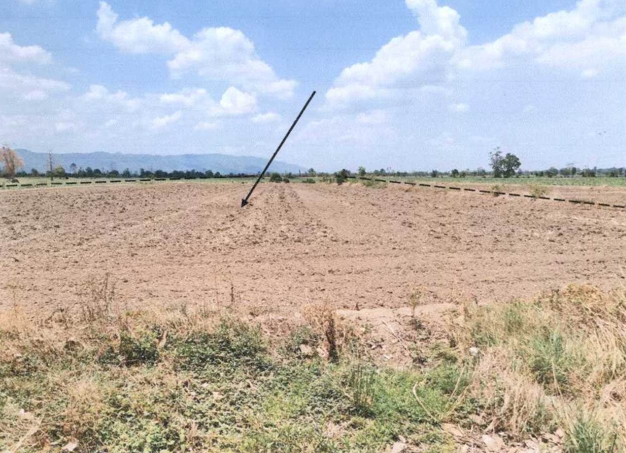 ขายทอดตลาด ที่ดินว่างเปล่า ต.ดงคู่ อ.ศรีสัชนาลัย จ.สุโขทัย