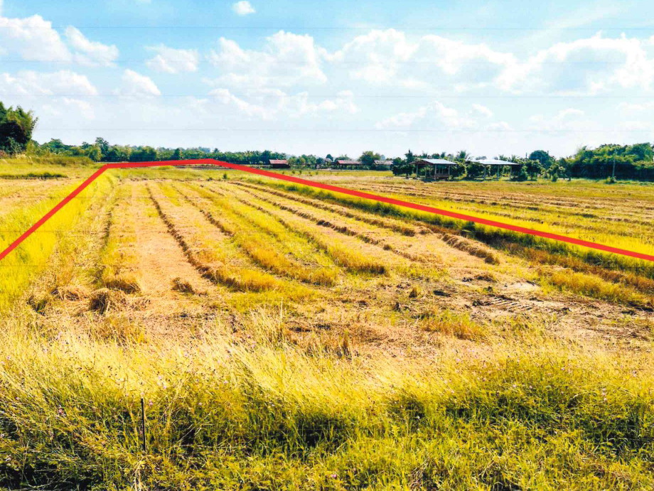 ขายทอดตลาด ที่ดินว่างเปล่า ต.กลางดง อ.ทุ่งเสลี่ยม จ.สุโขทัย