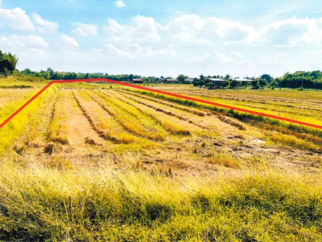 ขายทอดตลาด ที่ดินว่างเปล่า ต.กลางดง อ.ทุ่งเสลี่ยม จ.สุโขทัย