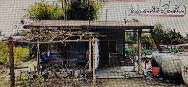 ขายทอดตลาด ที่ดินพร้อมสิ่งปลูกสร้าง ต.ห้วยต้อน อ.เมืองชัยภูมิ จ.ชัยภูมิ