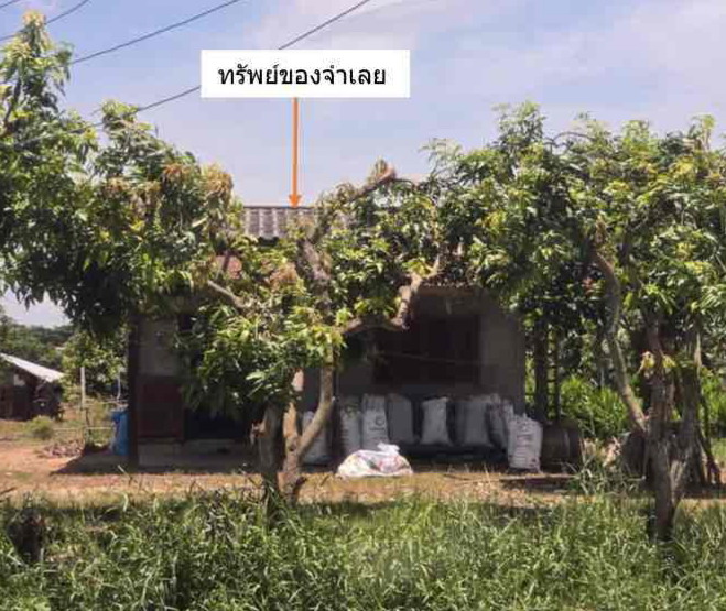 ขายทอดตลาด ที่ดินพร้อมสิ่งปลูกสร้าง ต.คลองมะพลับ อ.ศรีนคร จ.สุโขทัย