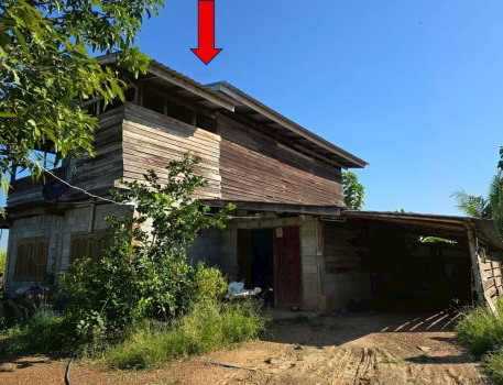 ขายทอดตลาด ที่ดินพร้อมสิ่งปลูกสร้าง ต.ท่าชัย อ.ศรีสัชนาลัย จ.สุโขทัย