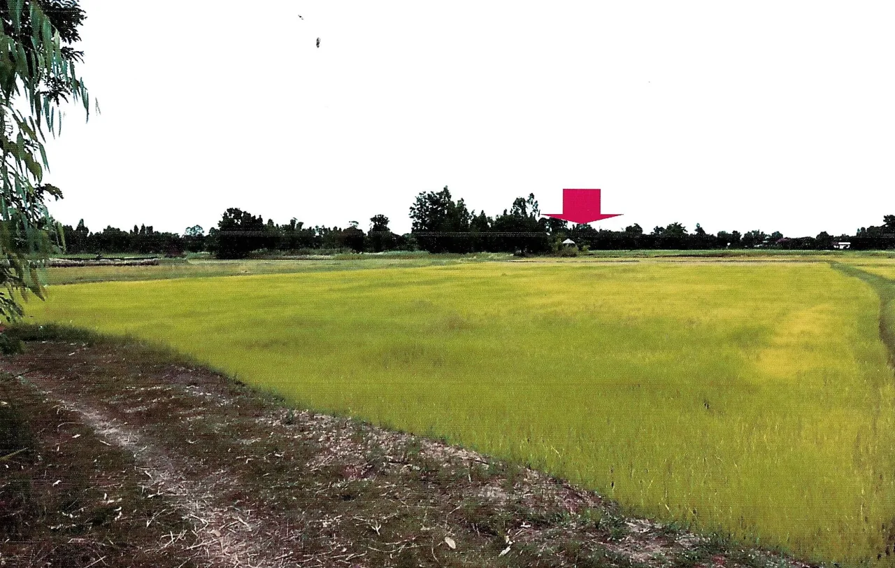 ขายทอดตลาด ที่ดินว่างเปล่า ต.รอบเมือง อ.เมืองชัยภูมิ จ.ชัยภูมิ
