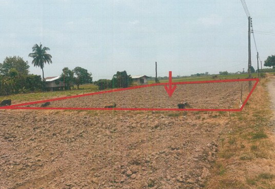 ขายทอดตลาด ที่ดินว่างเปล่า ต.คลองมะพลับ อ.ศรีนคร จ.สุโขทัย