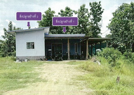 ขายทอดตลาด ที่ดินพร้อมสิ่งปลูกสร้าง ต.ดงคู่ อ.ศรีสัชนาลัย จ.สุโขทัย