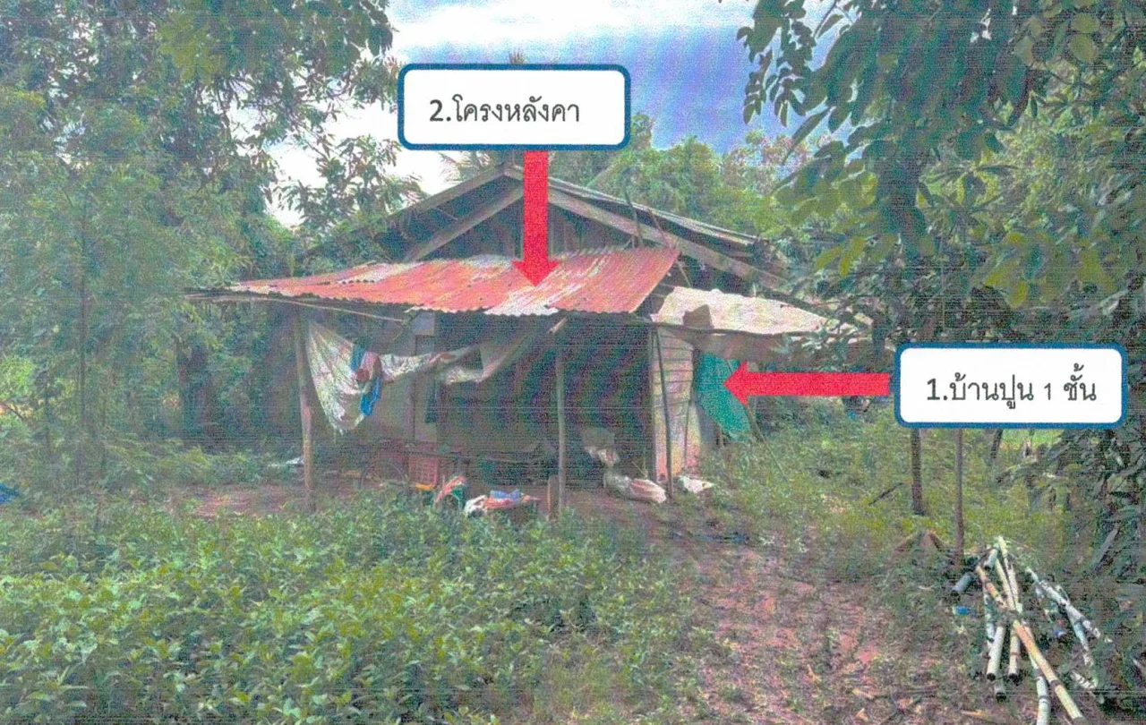ขายทอดตลาด ที่ดินพร้อมสิ่งปลูกสร้าง ต.นาฝาย อ.เมืองชัยภูมิ จ.ชัยภูมิ