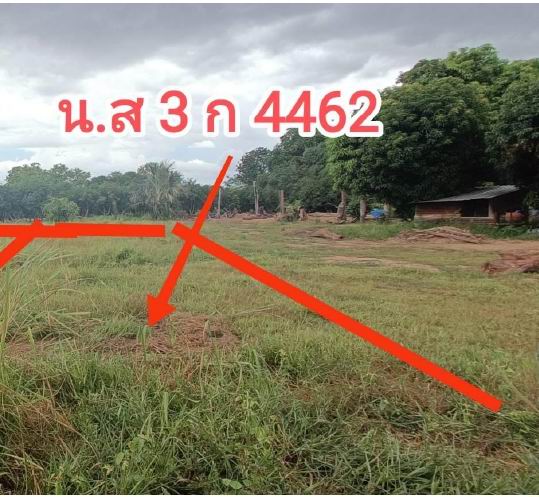 ขายทอดตลาด ที่ดินว่างเปล่า ต.คลองยาง อ.สวรรคโลก จ.สุโขทัย