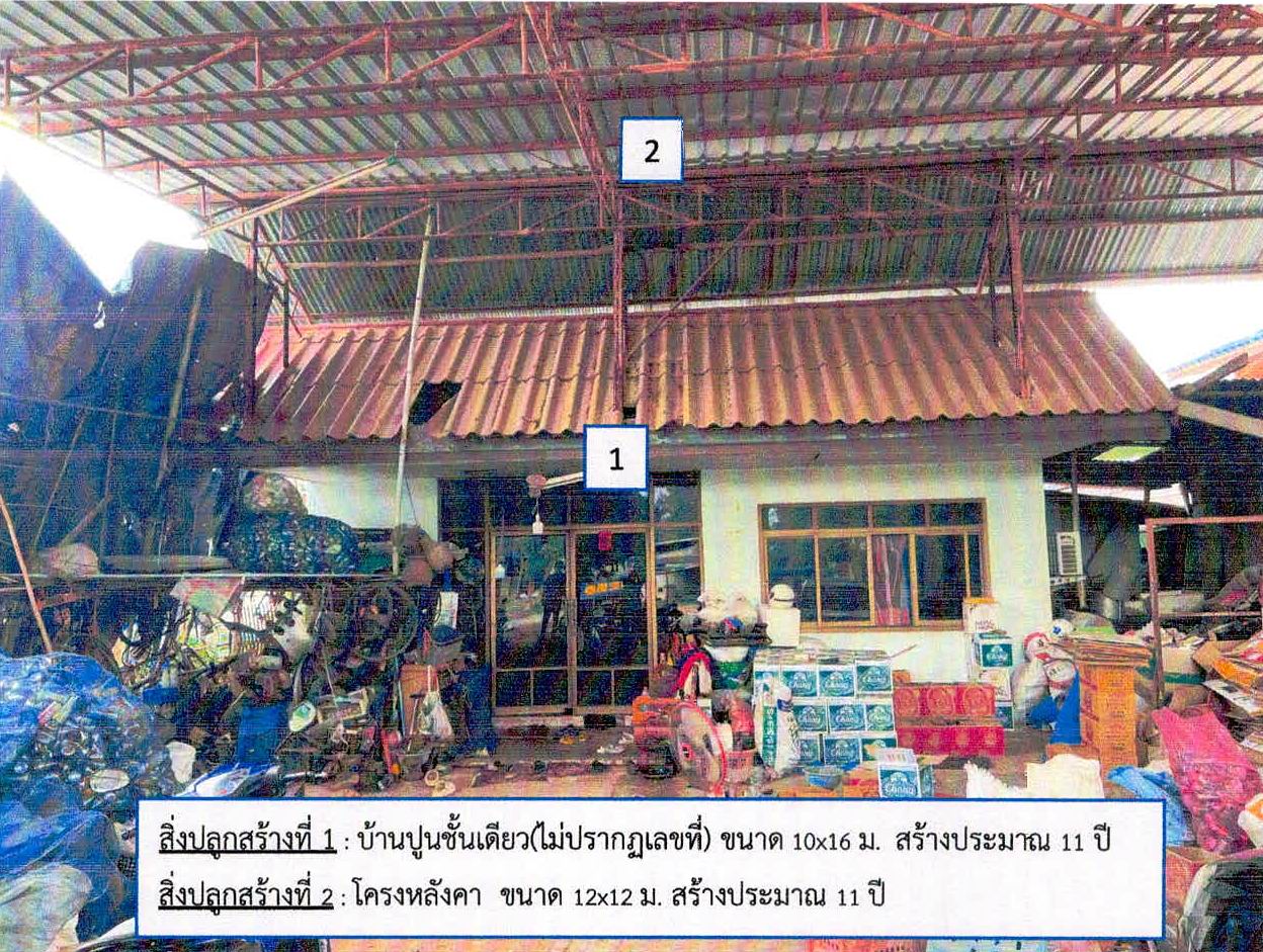 ขายทอดตลาด ที่ดินพร้อมสิ่งปลูกสร้าง ต.หนองบัวโคก อ.จัตุรัส จ.ชัยภูมิ