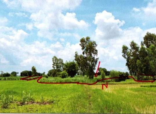 ขายทอดตลาด ที่ดินว่างเปล่า จ.อุดรธานี