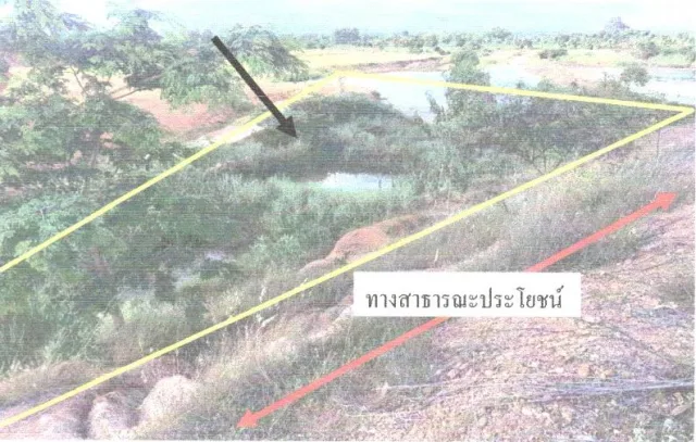 ขายทอดตลาด ที่ดินว่างเปล่า ต.หนองบัวระเหว อ.หนองบัวระเหว จ.ชัยภูมิ