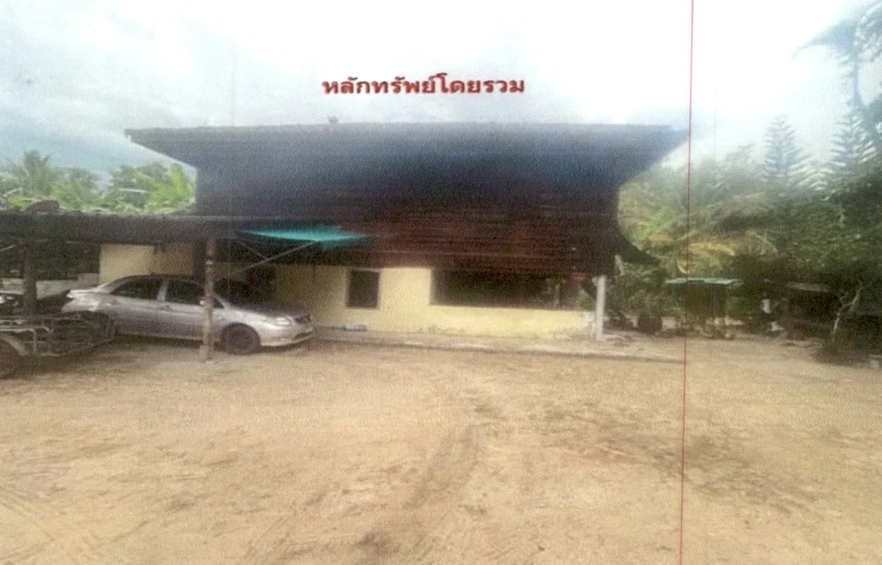 ขายทอดตลาด ที่ดินพร้อมสิ่งปลูกสร้าง ต.บางงอน อ.พุนพิน จ.สุราษฎร์ธานี