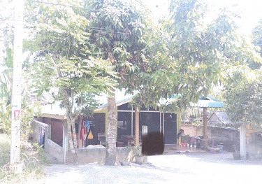 ขายทอดตลาด ที่ดินพร้อมสิ่งปลูกสร้าง ต.เขากอบ อ.ห้วยยอด จ.ตรัง