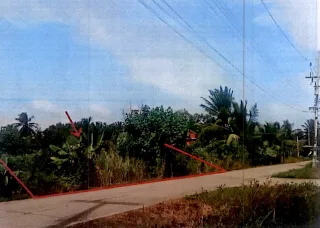 รูปทรัพย์ 10
