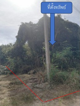 ขายทอดตลาด ที่ดินว่างเปล่า จ.ฉะเชิงเทรา