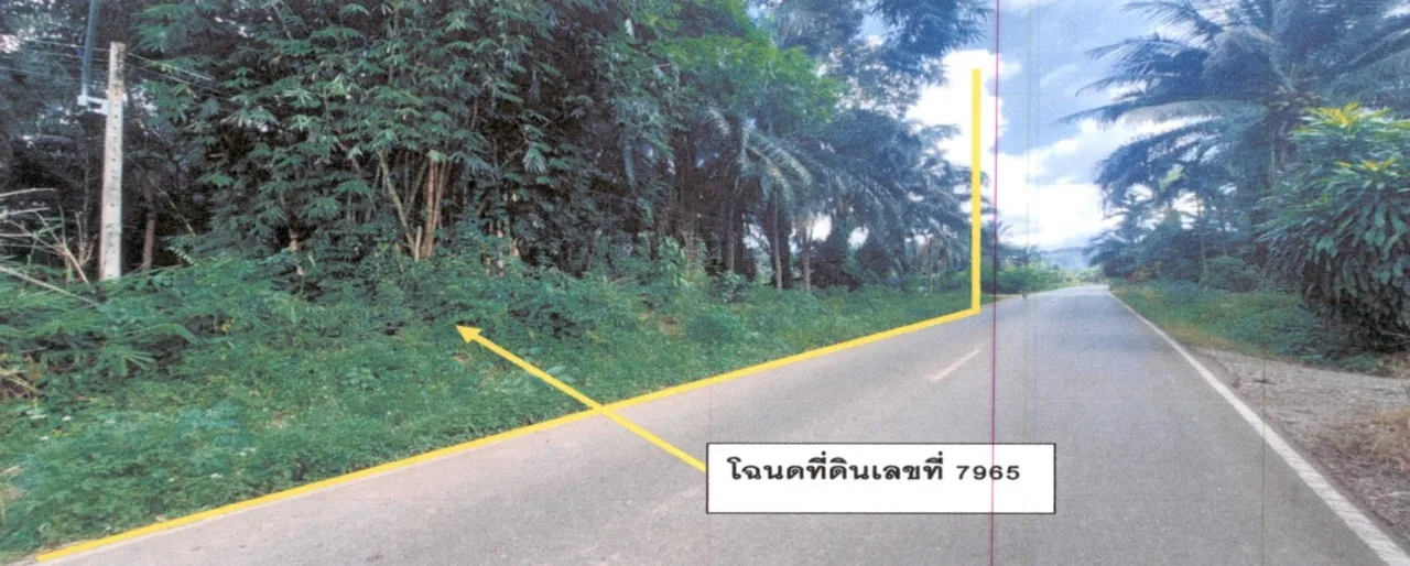 ขายทอดตลาด ที่ดินว่างเปล่า จ.สุราษฎร์ธานี